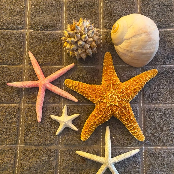 Asst aquarium items - Picture 1 of 1